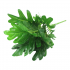 ARTIFICIAL FLOWER 