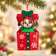 CHRISTMAS HANGING PUPPY IN GIFT BOX ORNAMENT 5.5 × CHRISTMAS HANGING PUPPY IN GIFT BOX ORNAMENT 5.5 ×